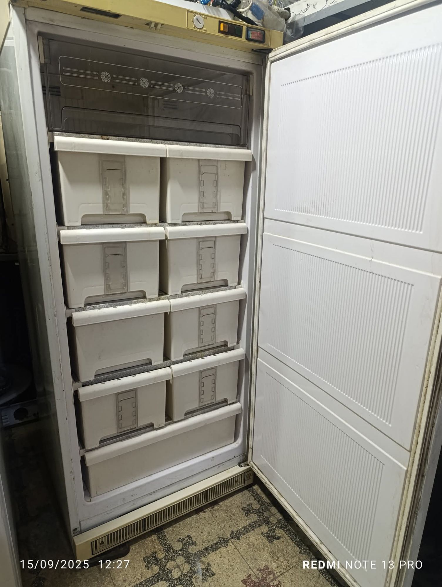 فريزة الحافظ