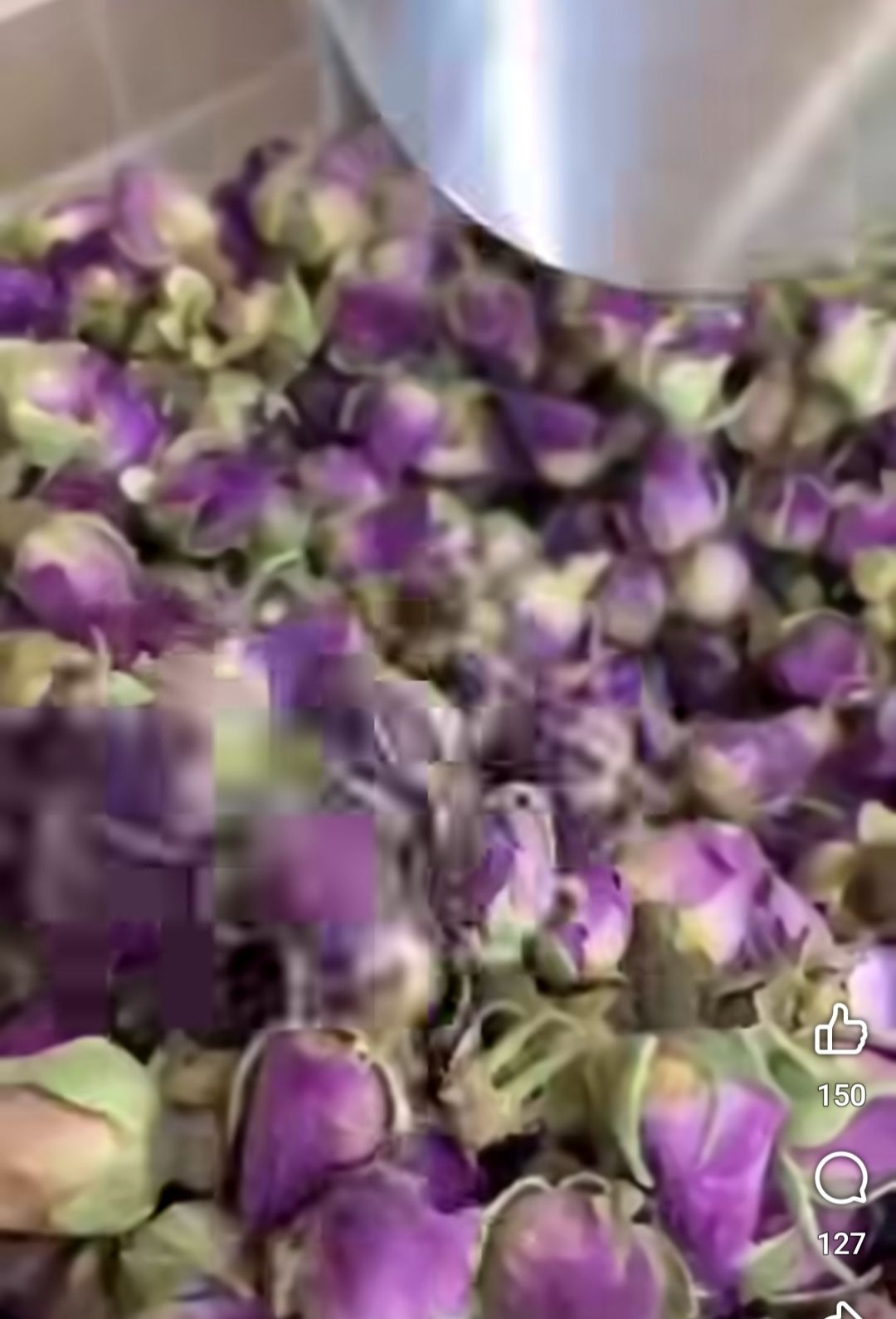 الورد المحمدي