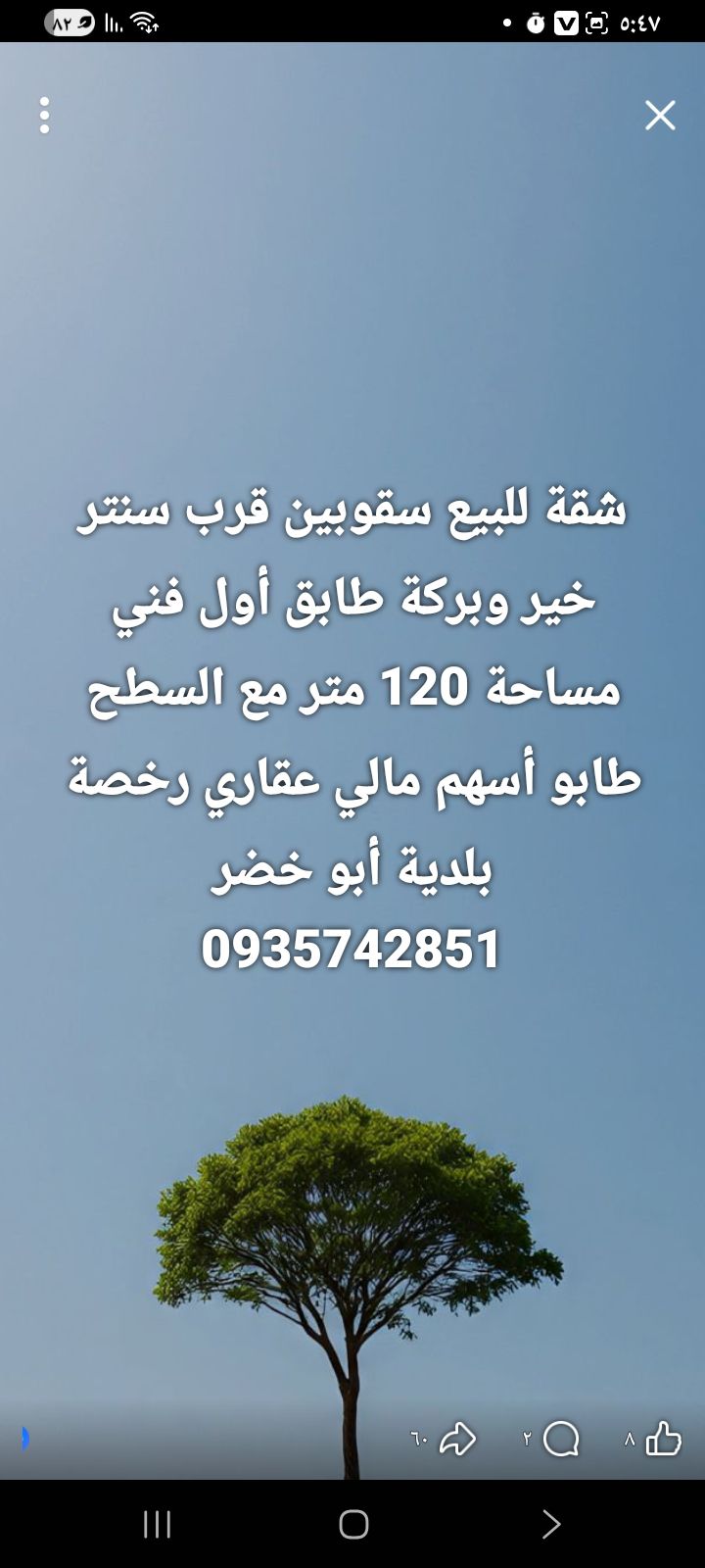 شقة