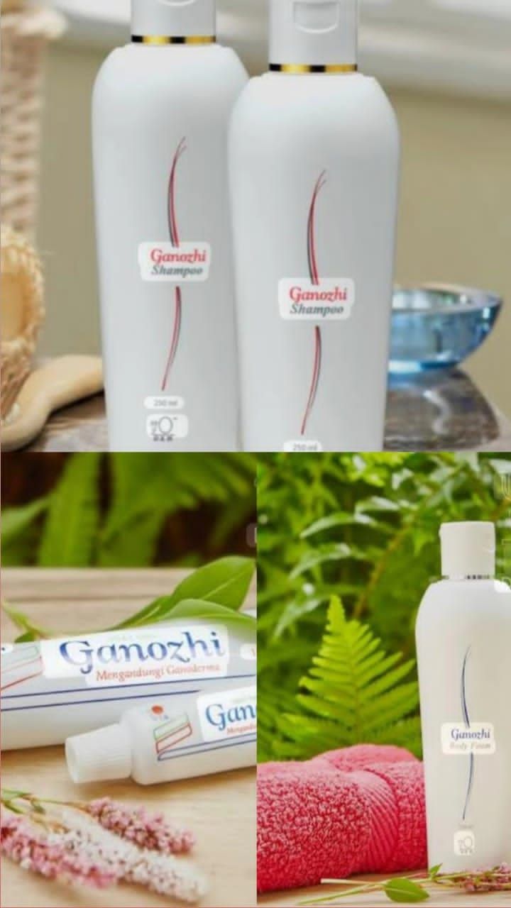 شامبو